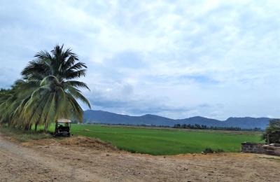 VENTA DE TERRENO DE 60 HAS. EN SAN MARTÍN